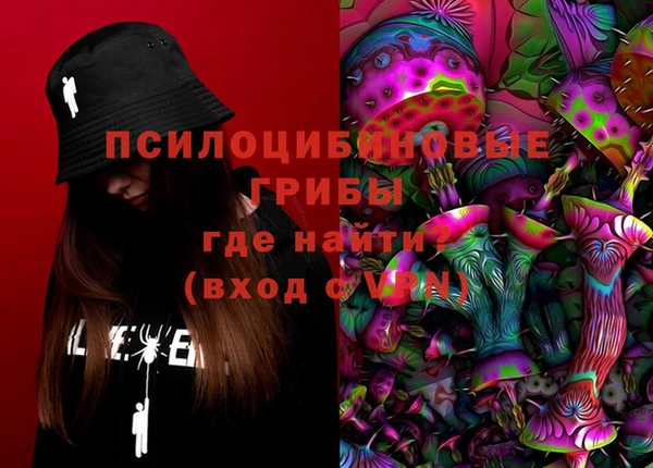 дмт Инсар