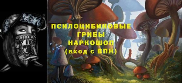 крисы Иннополис