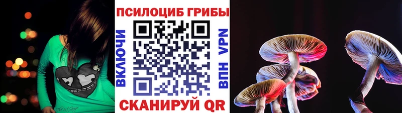 Псилоцибиновые грибы прущие грибы  купить наркотик  Соль-Илецк 